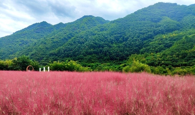 寶成線鳳縣境內(nèi)的路邊。