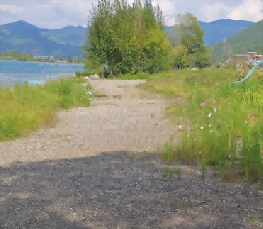 王軍所說(shuō)被填區(qū)域。 人民網(wǎng)記者 黃鈺攝