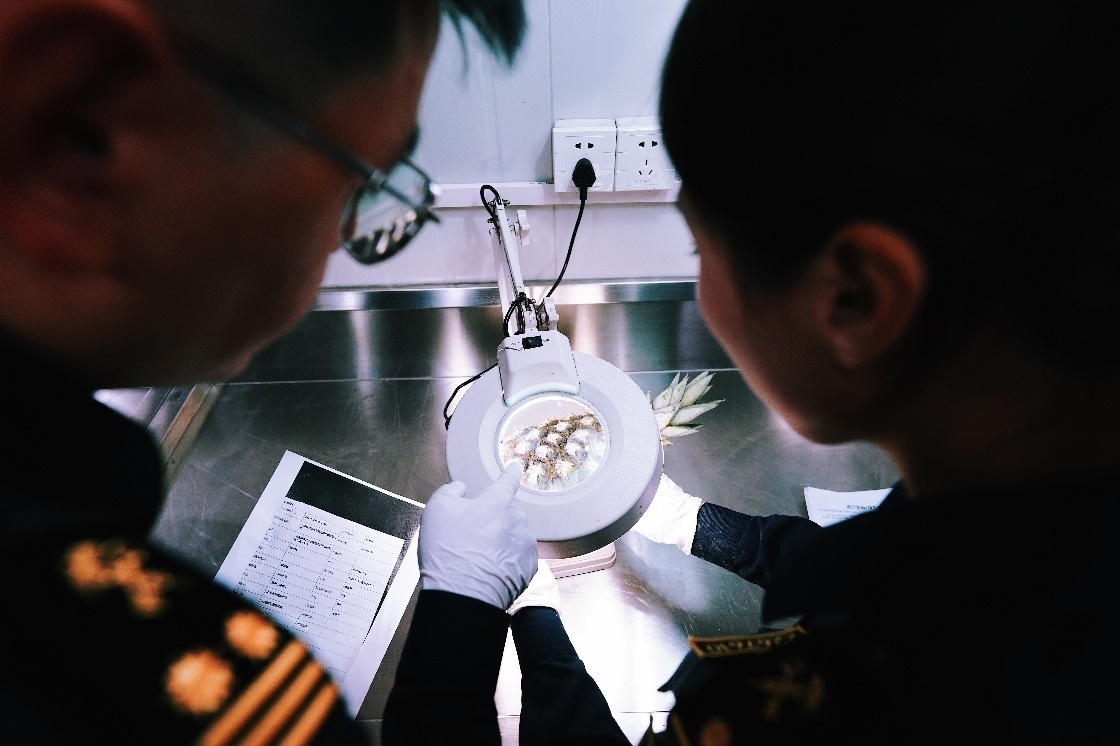 上海海關(guān)關(guān)員針對檢疫性有害生物和農(nóng)藥殘留進(jìn)行檢疫檢驗(yàn)。陳興洲攝