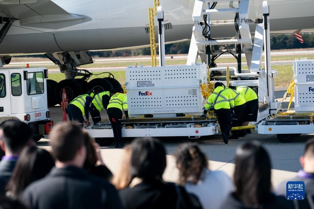 11月8日，在美國弗吉尼亞州的華盛頓杜勒斯國際機場，裝有大熊貓的特制“旅行包廂”準備運上專機。新華社記者劉杰攝