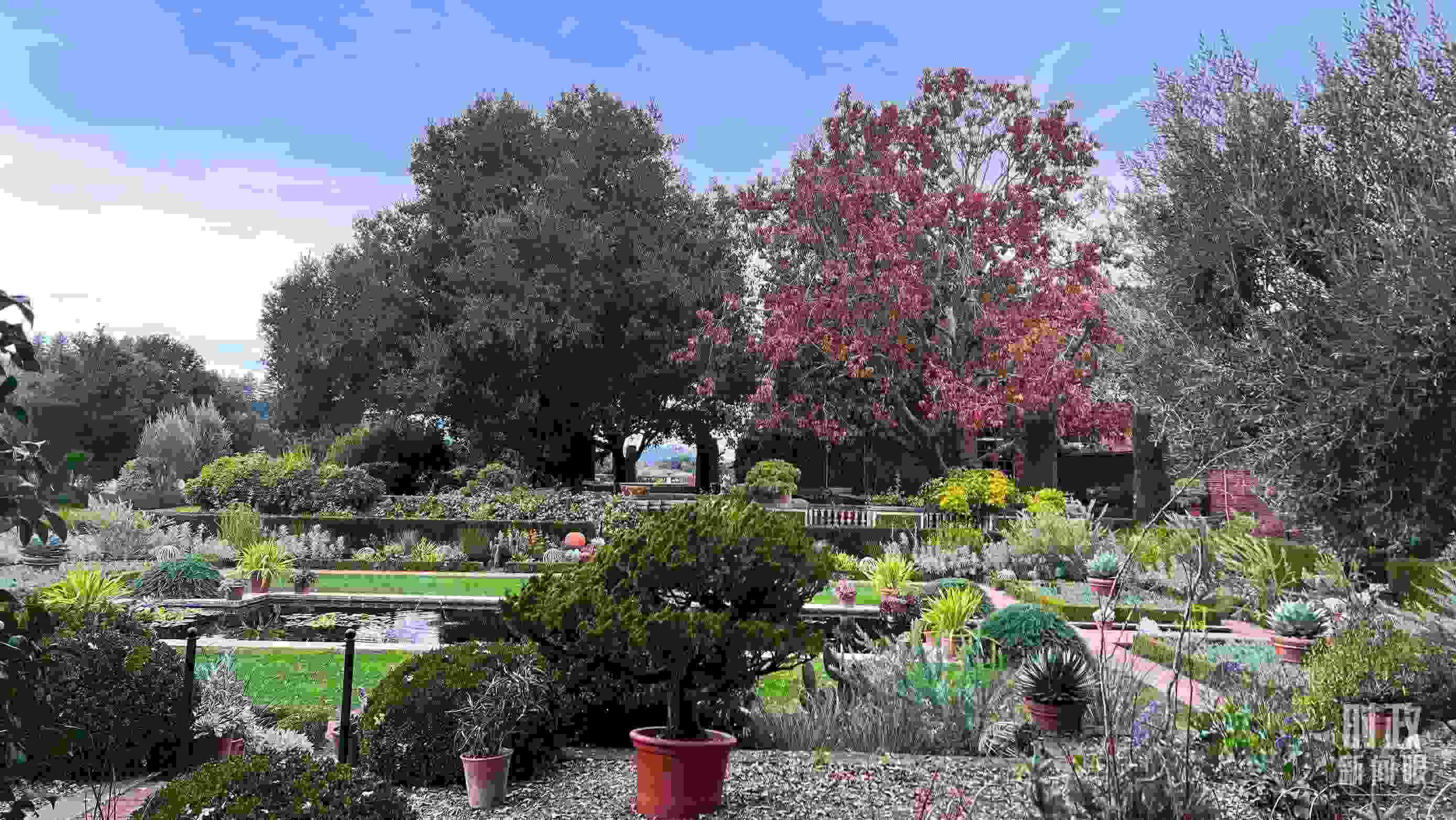 斐洛里莊園被稱作美國20世紀現存最精美鄉(xiāng)村莊園之一。（總臺央視記者程鋮拍攝）