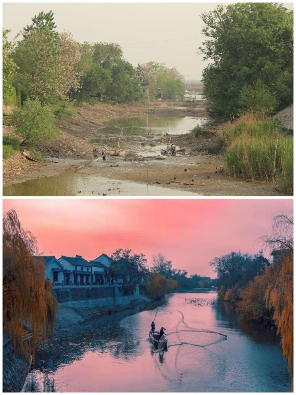 江蘇省揚州市江都區(qū)明清運河故道整治前后。（上圖：2012年；下圖：2020年）（孫友定 攝）