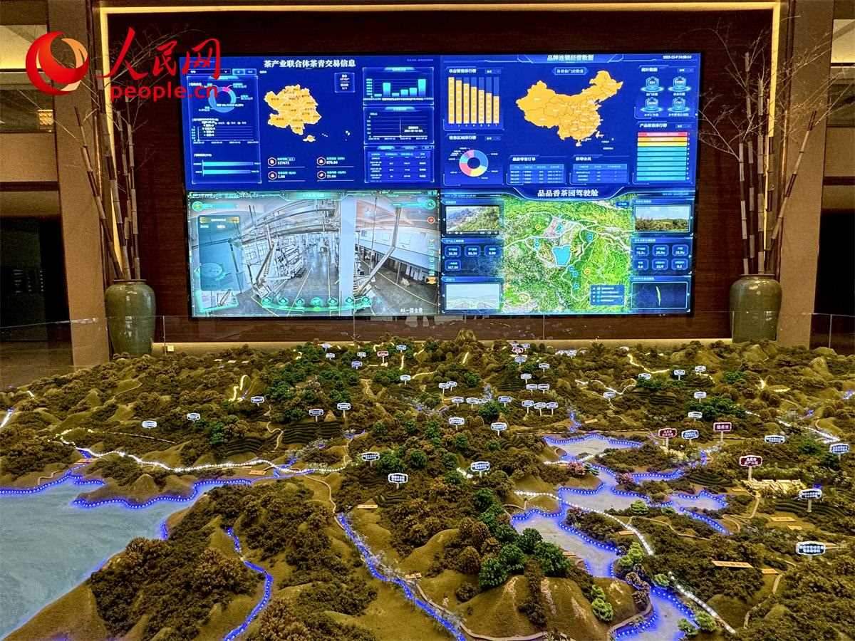 品品香白茶產(chǎn)業(yè)園信息中心數(shù)智化大屏。人民網(wǎng)記者 劉微攝