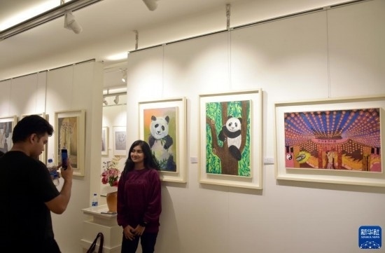 11月22日，在孟加拉國達卡，人們在“國家印象”繪畫展上參觀拍照。新華社發(fā)（薩利姆攝）