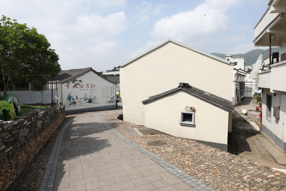 浙江省義烏市李祖村一景（2023年5月23日攝）。新華社記者 杜瀟逸 攝