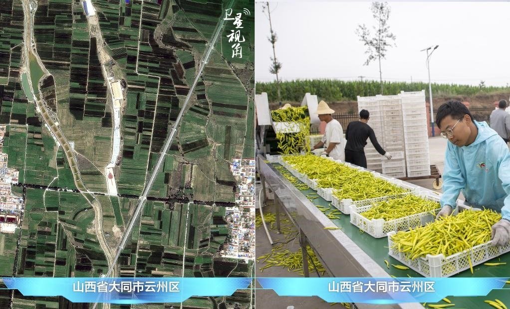 當(dāng)前，大同市開發(fā)黃花菜品、食品、飲品、功能食品、化妝品、文創(chuàng)產(chǎn)品六大系列130余種，全產(chǎn)業(yè)鏈產(chǎn)值超40億元。