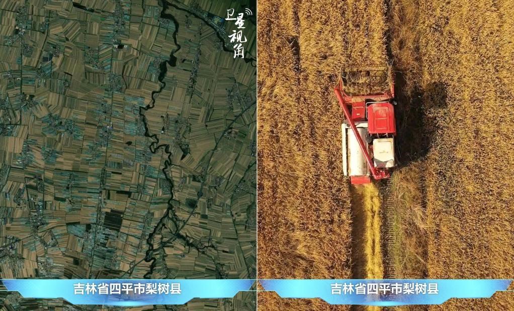 隨著現(xiàn)代化農(nóng)機(jī)普及應(yīng)用，保護(hù)性耕作“梨樹模式”得以大面積推廣，不僅使黑土地保護(hù)與利用持續(xù)深入，更為糧食作物高產(chǎn)穩(wěn)產(chǎn)助力。