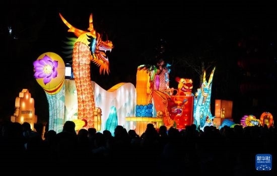 2月11日晚，人們在濟南市趵突泉公園觀賞花燈。