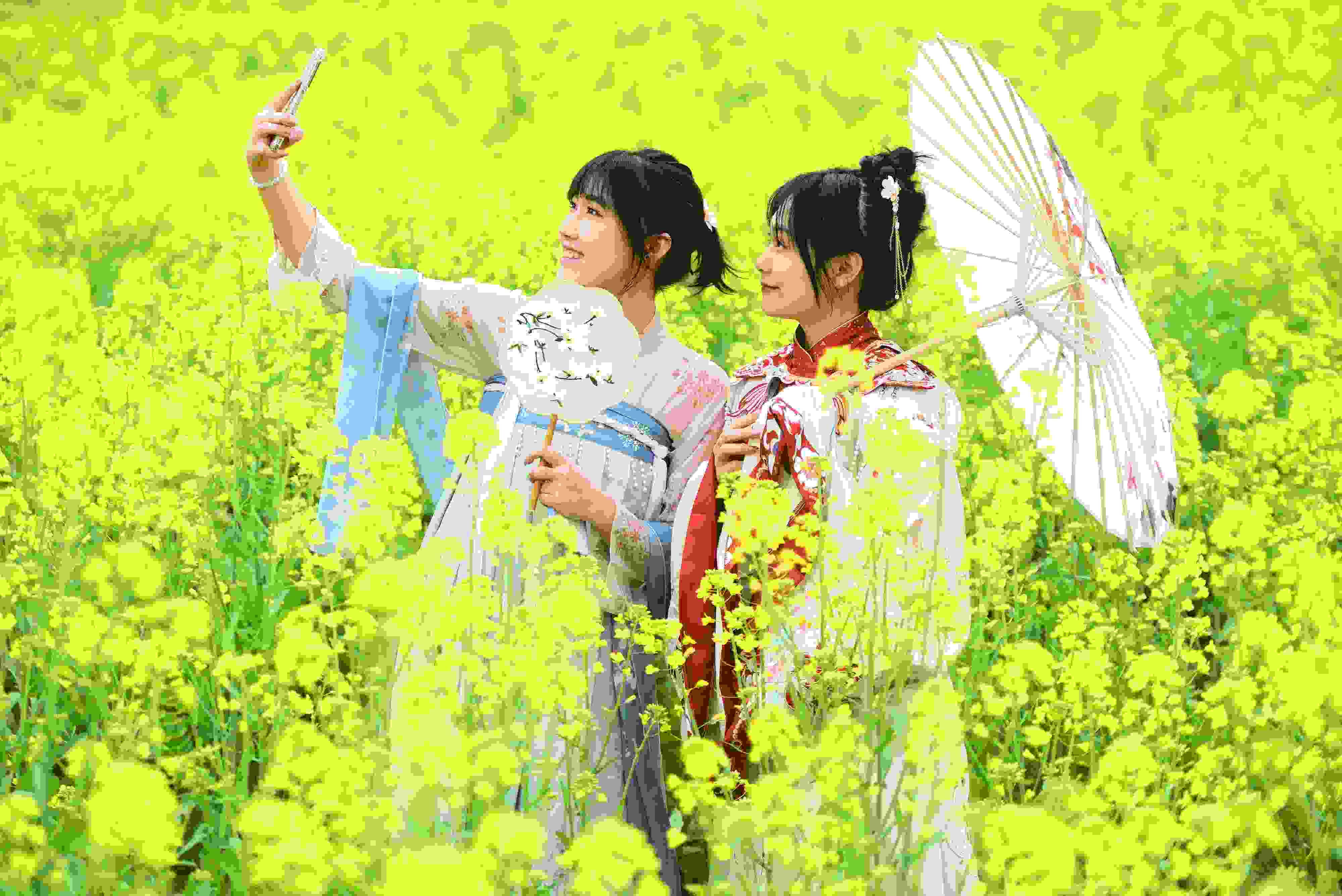 △ 2024年2月16日，廣西賀州，在富川瑤族自治縣麥嶺鎮(zhèn)三民村，游客在油菜花田間賞花拍照。