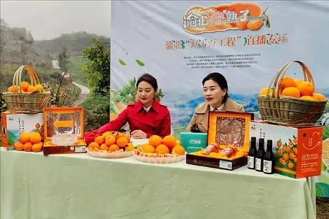 2021年2月26日，在重慶渝北區(qū)大盛鎮(zhèn)青龍村舉辦的直播活動現(xiàn)場。