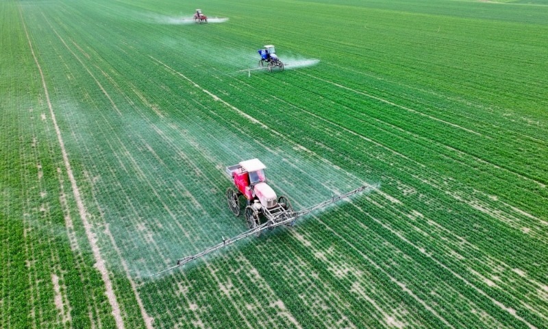 2024年2月18日，安徽省亳州市，利辛縣紀(jì)王場鄉(xiāng)孫老家村麥田，農(nóng)民駕駛自走式高桿噴霧機(jī)對小麥進(jìn)行噴藥作業(yè)。