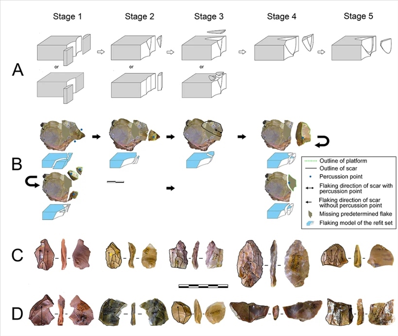 岑家灣遺址“準(zhǔn)備石核技術(shù)”及相關(guān)石制品。（受訪單位供圖）