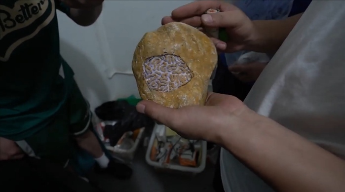 經(jīng)過(guò)“開(kāi)窗”上色的“翡翠原石”（武漢市公安局武昌區(qū)分局供圖）