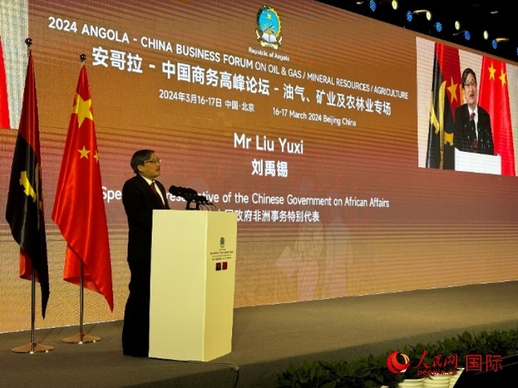 中國政府非洲事務(wù)特別代表劉禹錫。人民網(wǎng)記者 張榮攝