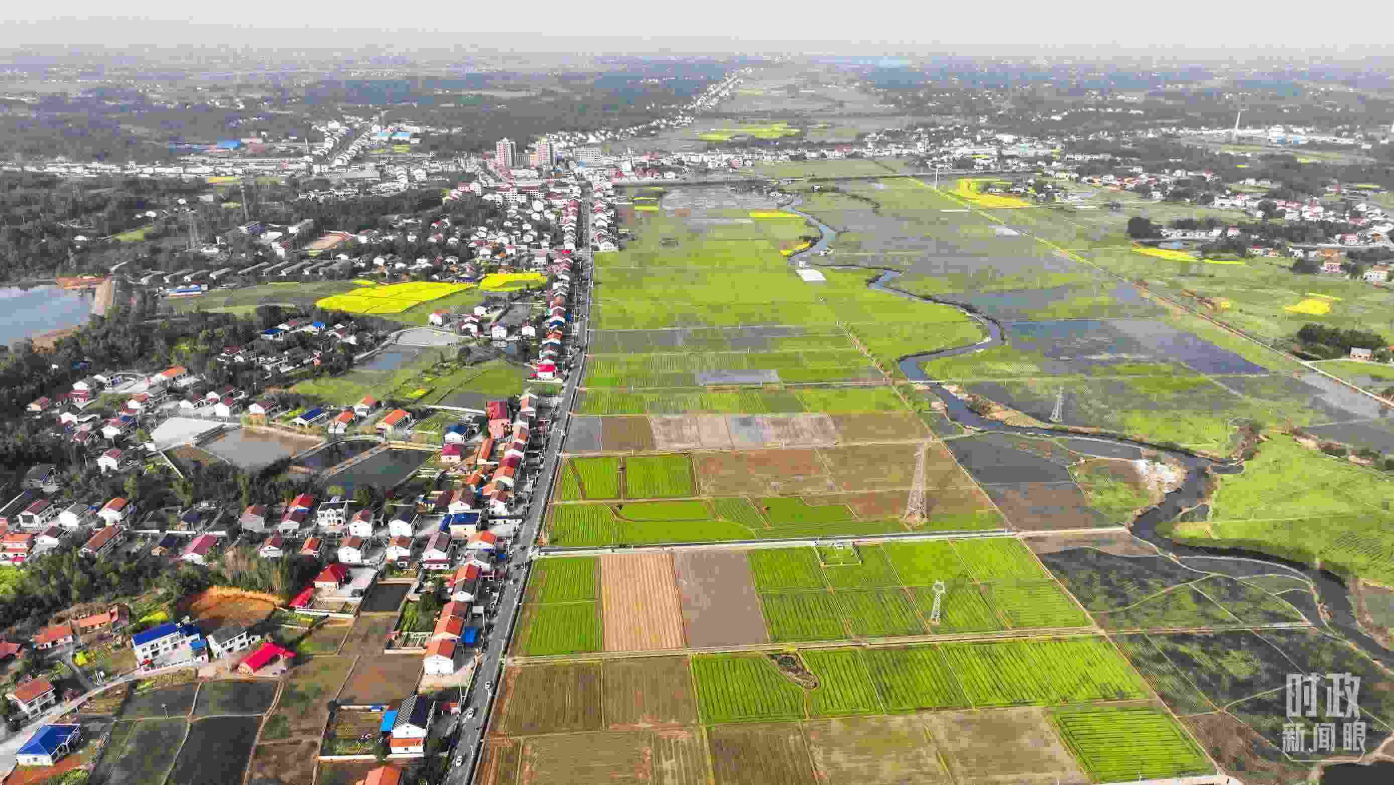 △俯瞰常德市謝家鋪鎮(zhèn)港中坪村。（總臺國廣記者李晉拍攝）