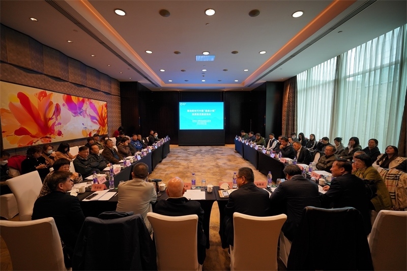 座談會(huì)現(xiàn)場(chǎng)。主辦方供圖