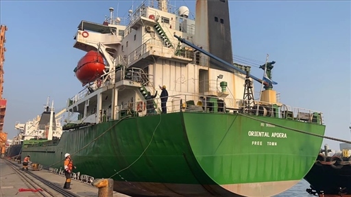 中蘇海運直航貨輪靠泊蘇里南碼頭。中國駐蘇里南大使館供圖