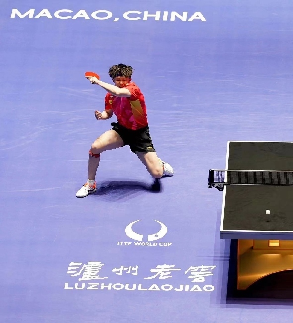 王楚欽在比賽中。賽事方供圖