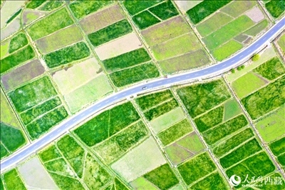 無人機(jī)視角下的西藏山南市瓊結(jié)農(nóng)田。人民網(wǎng)記者 次仁羅布攝