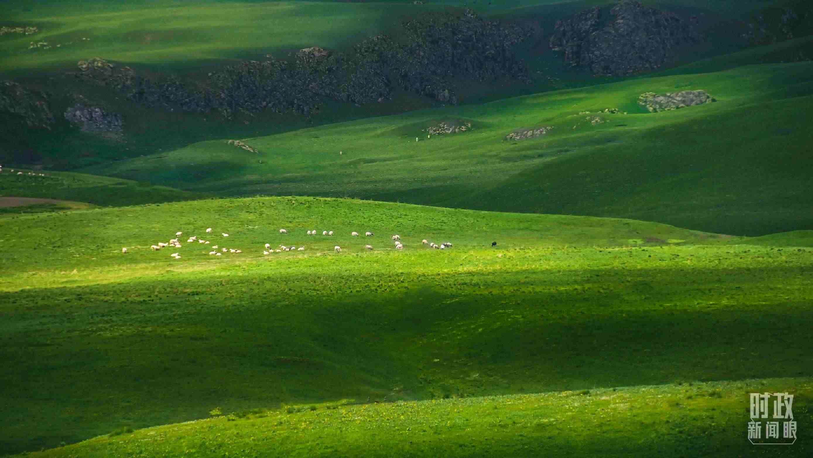 △祁連山草原光影。（圖/視覺中國(guó)）
