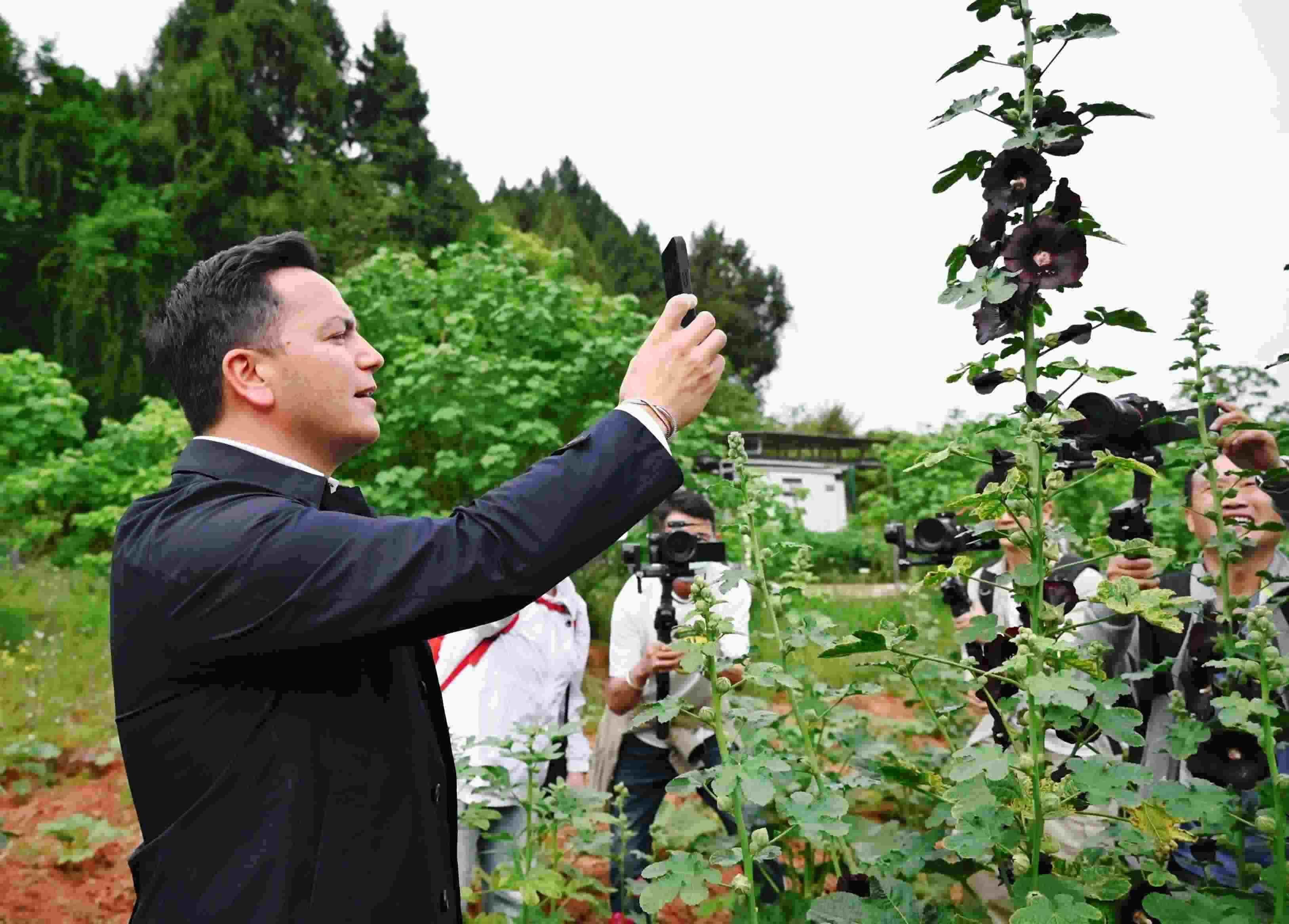  △2024年4月23日，國(guó)際園藝生產(chǎn)者協(xié)會(huì)主席萊昂納多·卡皮塔尼奧在成都市金堂縣鮮花山谷景區(qū)考察蜀葵產(chǎn)業(yè)。