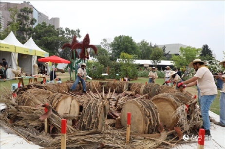 坎波·馬特活動(dòng)現(xiàn)場(chǎng)。埃內(nèi)斯托·多明戈斯攝