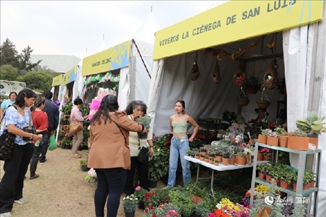 坎波·馬特活動(dòng)現(xiàn)場(chǎng)。埃內(nèi)斯托·多明戈斯攝