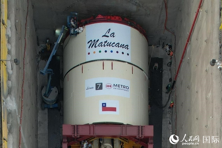 質(zhì)構(gòu)機全景。陳露明攝