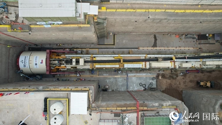 質(zhì)構(gòu)機全景。陳露明攝