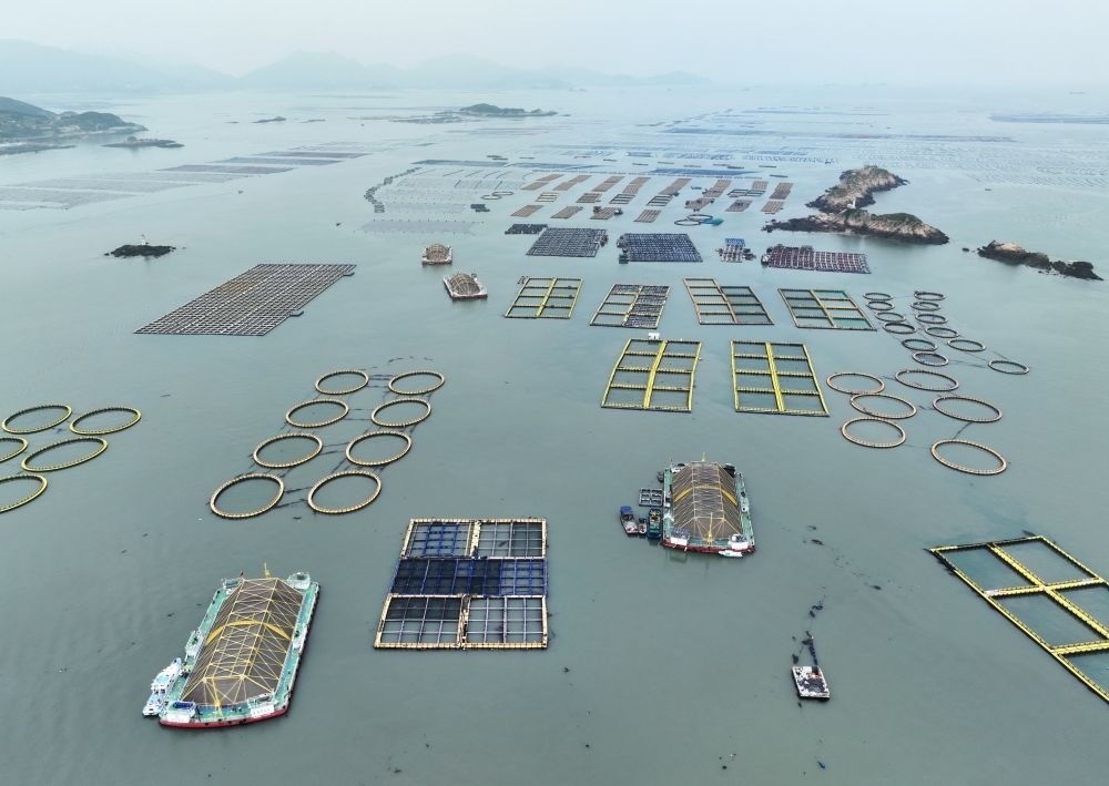 在福建連江定海灣海域，坐落著“定海灣1號”“定海灣2號”等深遠(yuǎn)海養(yǎng)殖平臺（2024年5月7日攝，無人機(jī)照片）。新華社記者 林善傳 攝