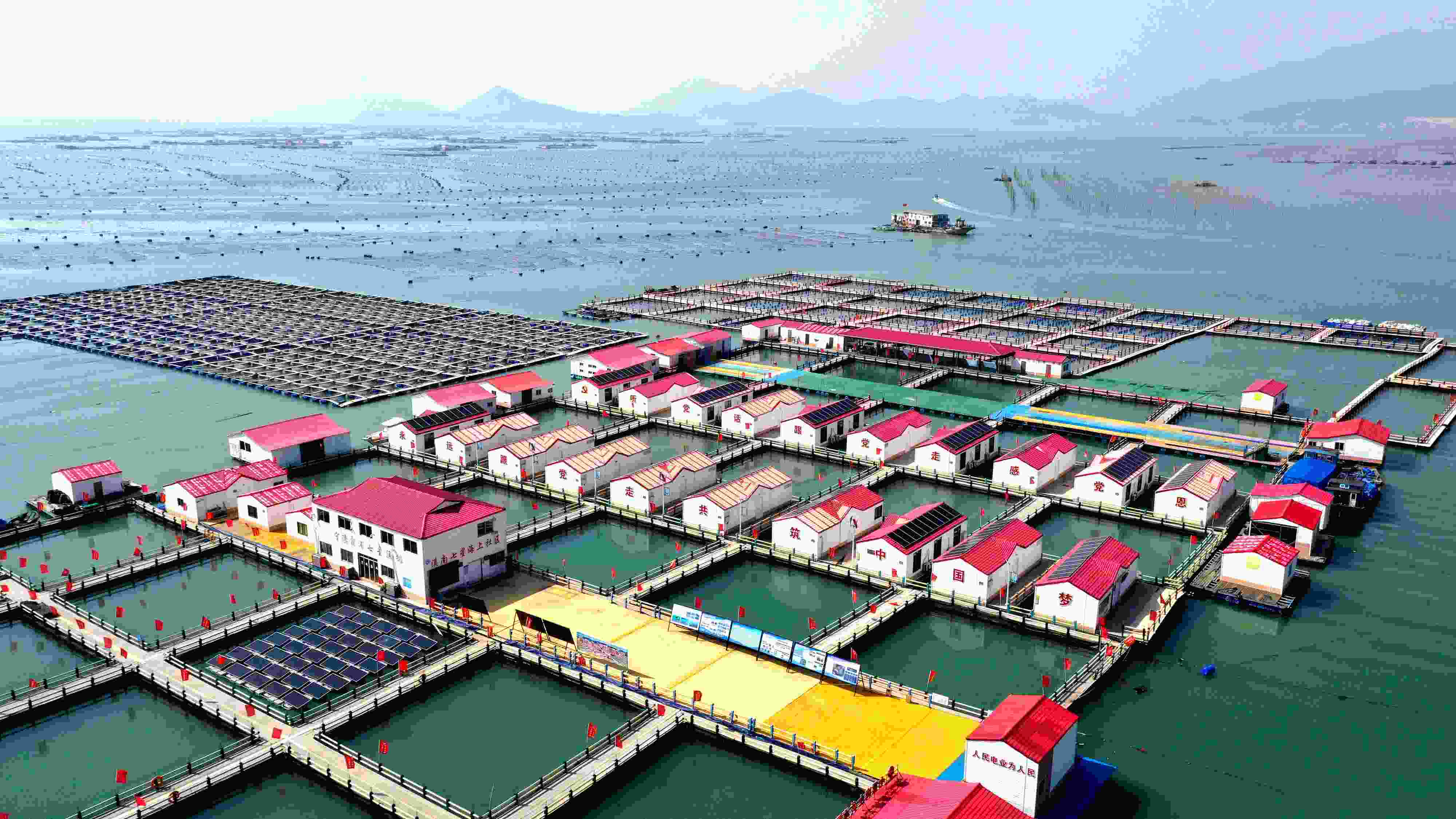 2024年3月20日，福建省寧德市，霞浦縣溪南鎮(zhèn)七星村漁排養(yǎng)殖示范區(qū)，漁民駕駛養(yǎng)殖船進行海參養(yǎng)殖作業(yè)。