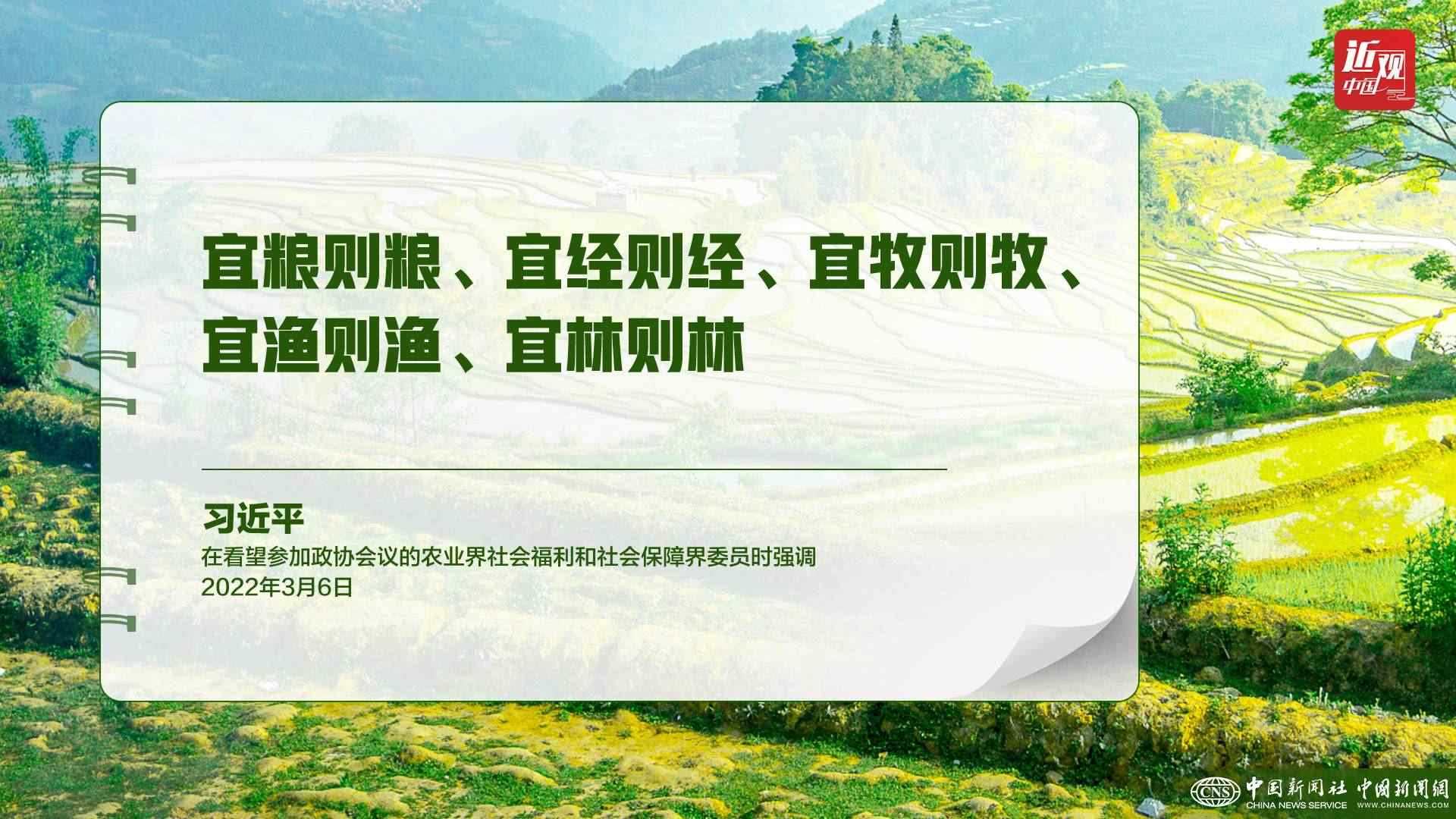 習(xí)近平：樹立大食物觀，構(gòu)建多元化食物供給體系
