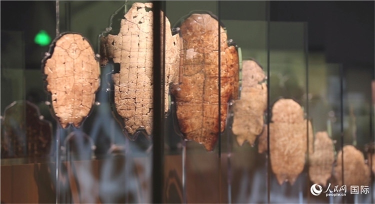 殷墟博物館新館的甲骨展品。人民網(wǎng)記者 劉寧攝