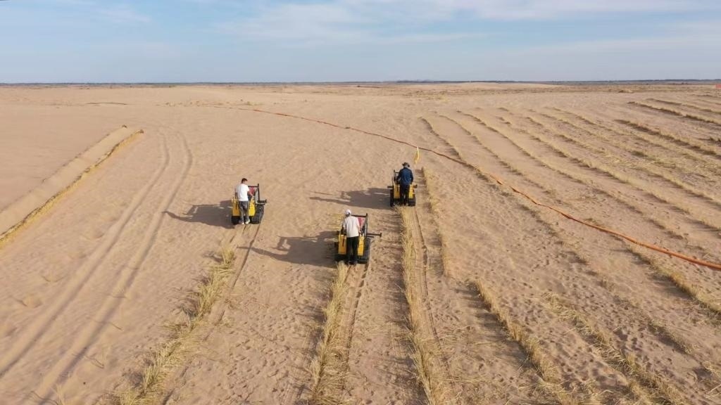 內(nèi)蒙古巴彥淖爾市烏拉特后旗西補(bǔ)隆林業(yè)管護(hù)中心職工駕駛機(jī)械鋪設(shè)壓沙障。新華社記者 李云平 攝