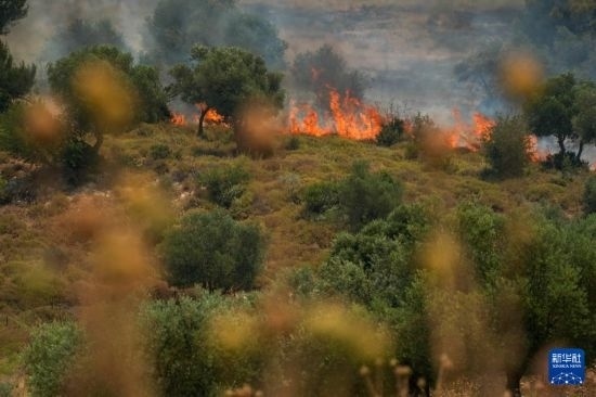 6月12日，以色列北部加利利地區(qū)遭受火箭彈襲擊后冒出滾滾濃煙。新華社發(fā)（阿亞爾·馬戈林?jǐn)z/基尼圖片社）