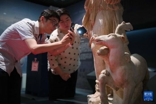 7月2日，安徽博物院工作人員在拍攝開(kāi)箱后的古希臘文物。新華社記者 張端 攝