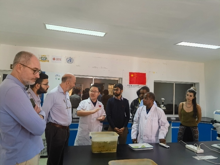 活動(dòng)現(xiàn)場(chǎng)。專家組供圖