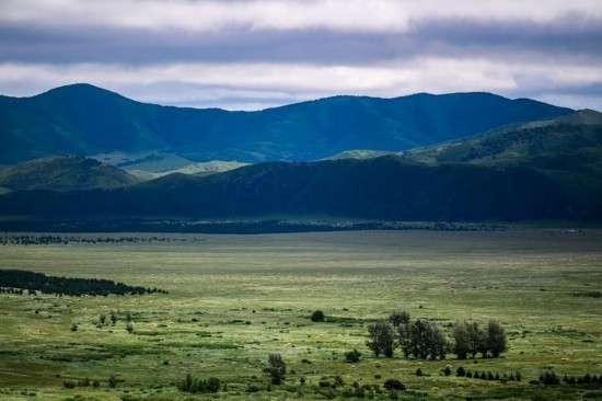2023年8月4日拍攝的大興安嶺南麓內蒙古罕山國家級自然保護區(qū)風光。新華社記者 連振 攝