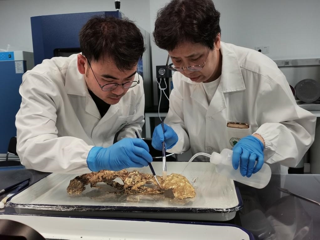 2023年7月，馬燕如（右）帶著魯海子（左）修復三星堆遺址出土的黃金面具。新華社發(fā)（四川省文物考古研究院供圖）