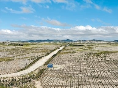 剛剛竣工的其白線穿沙公路。