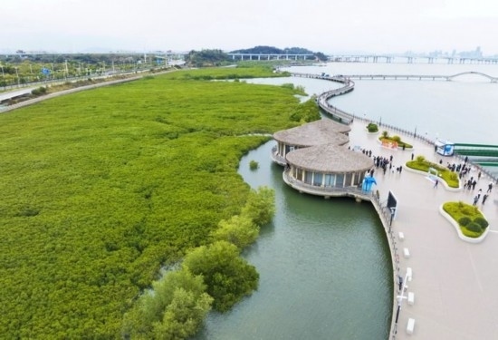 2024年1月23日拍攝的廈門市翔安區(qū)下潭尾紅樹林公園（無人機(jī)照片）。新華社記者 林善傳 攝