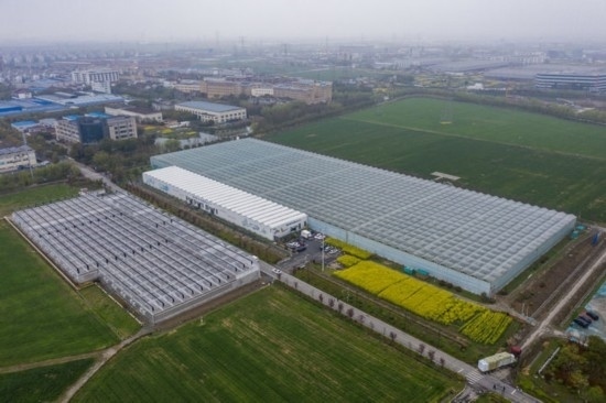 2024年3月28日，空中俯瞰嘉興南湖區(qū)湘家蕩農(nóng)業(yè)數(shù)字化工廠（無人機(jī)照片）。該農(nóng)業(yè)數(shù)字化工廠占地總面積約62畝，包含智慧農(nóng)業(yè)生產(chǎn)、物聯(lián)網(wǎng)智能管理、自動分揀包裝、保鮮儲藏物流、高科技示范展示等五大功能區(qū)，可直接或間接培養(yǎng)帶動新型職業(yè)技術(shù)農(nóng)民500人以上。新華社記者 徐昱 攝