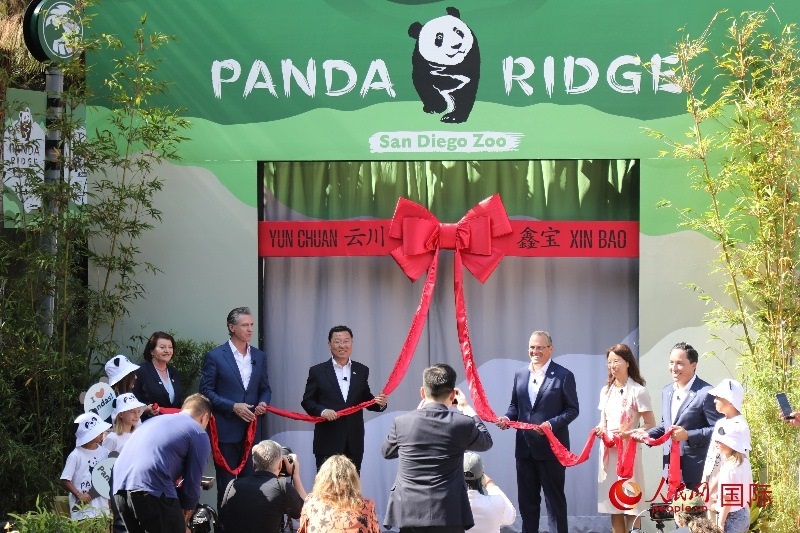 1、中國駐美國大使謝鋒、加州州長紐森、圣迭戈市市長格洛利亞等人共同為“熊貓嶺”開館剪彩。 人民網記者 李志偉攝