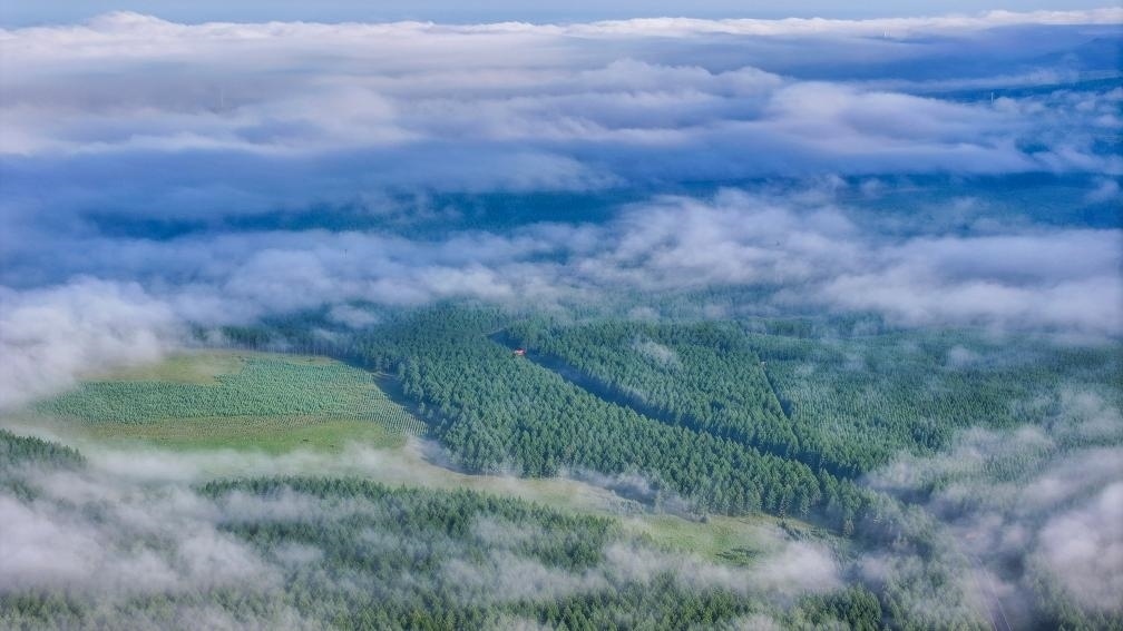 2024年7月26日拍攝的塞罕壩國家級自然保護(hù)區(qū)景色。新華社發(fā)（劉滿倉 攝）