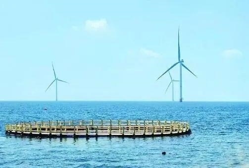 △山東萊州風(fēng)電項目實現(xiàn)了海上風(fēng)電和海洋牧場融合發(fā)展。