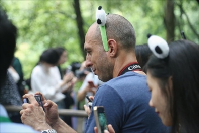 俄羅斯《俄羅斯報(bào)》視覺內(nèi)容編輯阿爾圖爾·杰魯諾夫在拍攝熊貓。（李佩藺 攝）