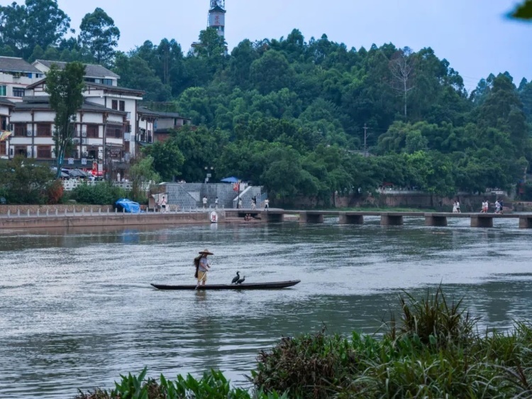蘇稽古鎮(zhèn)的漁民在進(jìn)行魚鷹捕魚表演。本報(bào)記者 伊霄攝