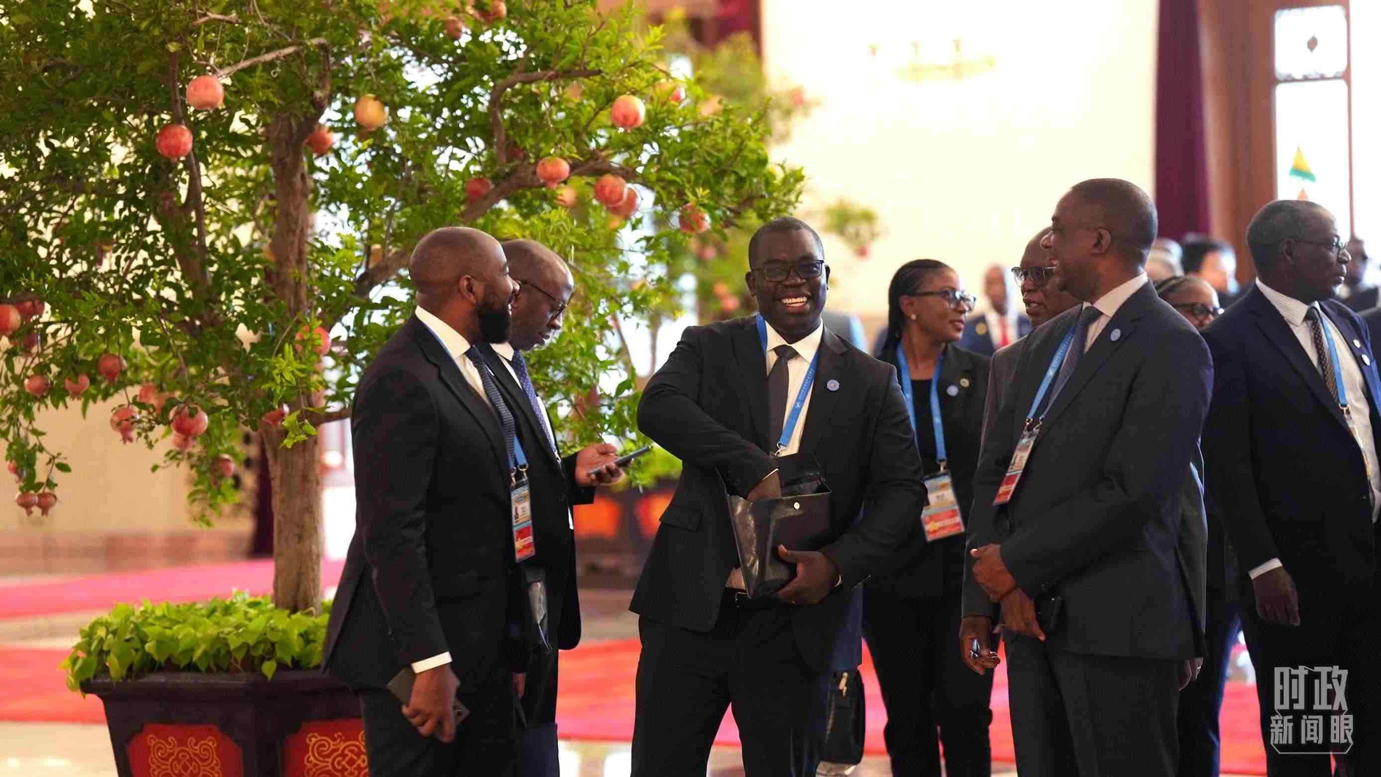 出席中非合作論壇北京峰會(huì)的非洲國(guó)家代表。（總臺(tái)記者李晉拍攝）