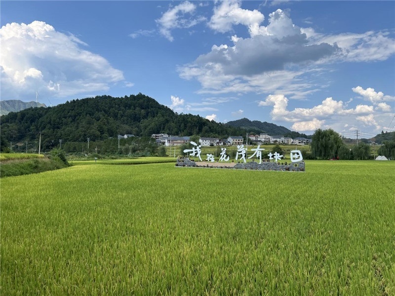 青瓦白磚的黔北民居、風(fēng)中搖曳的稻田、抬手可觸的大片云朵……才剛下車，格魯吉亞“經(jīng)濟(jì)中心網(wǎng)”總編輯莉安娜·喬爾喬利亞尼就被眼前的景色拖住了步履，喃喃細(xì)語：“實(shí)在太美了，讓我內(nèi)心平靜，在這里生活一定非常安逸和幸福?！保ㄇ褫x攝）