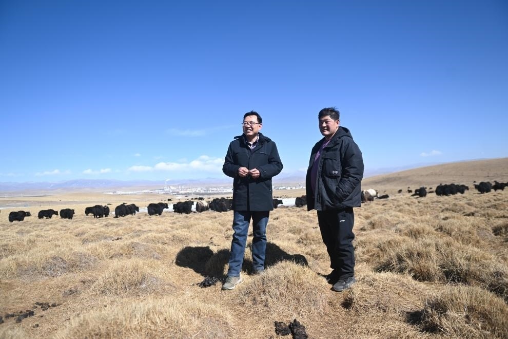 2023年2月24日，在青海省海北藏族自治州海晏縣青海湖鄉(xiāng)達(dá)玉日秀村，全國人大代表董全民（左）查看牧民東知布家的草場。新華社記者 張龍 攝